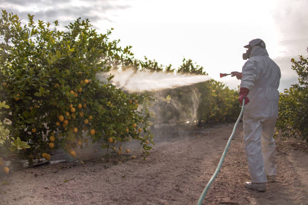 Best Affordable Pest Control Services  in Chesterfield, IN