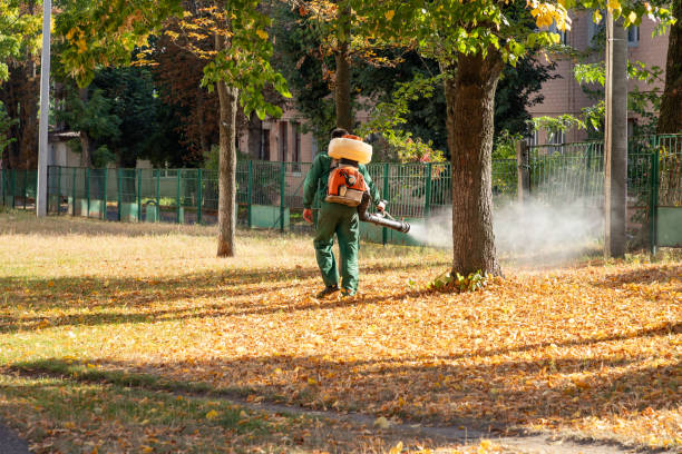 Trusted Chesterfield, IN Pest Control Experts