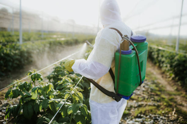Best Best Pest Control Near Me  in Chesterfield, IN